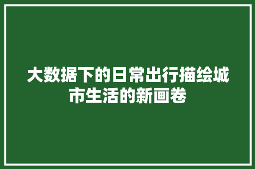 大数据下的日常出行描绘城市生活的新画卷