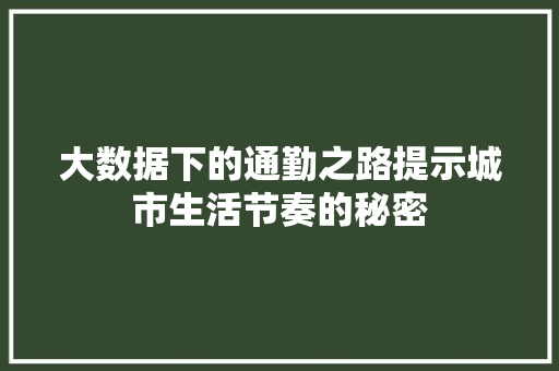 大数据下的通勤之路提示城市生活节奏的秘密