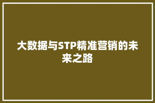 大数据与STP精准营销的未来之路