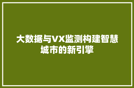 大数据与VX监测构建智慧城市的新引擎
