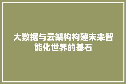 大数据与云架构构建未来智能化世界的基石
