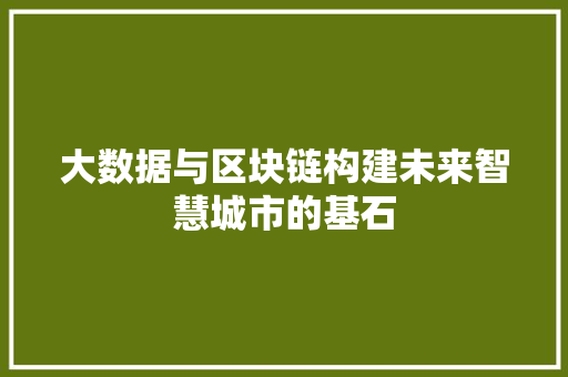 大数据与区块链构建未来智慧城市的基石