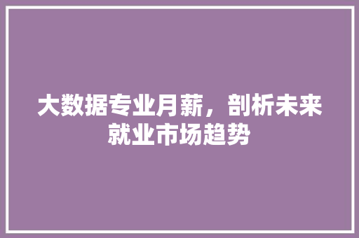 大数据专业月薪，剖析未来就业市场趋势