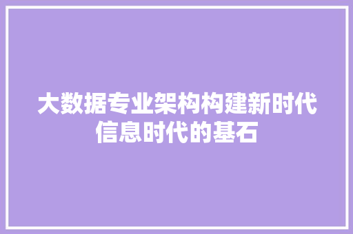 大数据专业架构构建新时代信息时代的基石