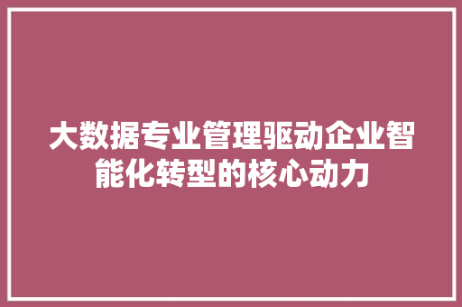 大数据专业管理驱动企业智能化转型的核心动力