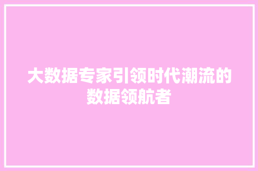 大数据专家引领时代潮流的数据领航者