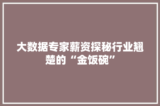 大数据专家薪资探秘行业翘楚的“金饭碗”