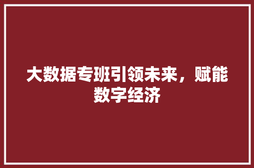 大数据专班引领未来，赋能数字经济