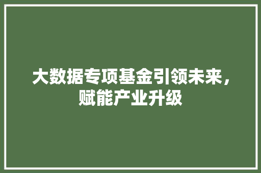 大数据专项基金引领未来，赋能产业升级