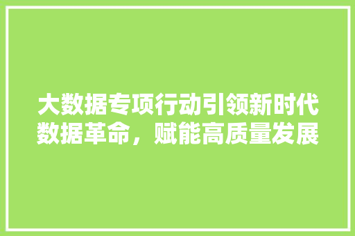大数据专项行动引领新时代数据革命，赋能高质量发展