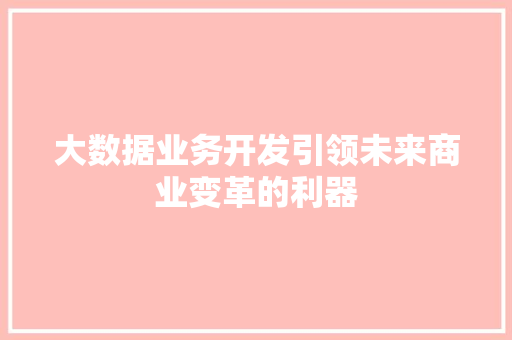 大数据业务开发引领未来商业变革的利器