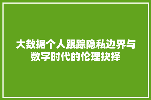大数据个人跟踪隐私边界与数字时代的伦理抉择