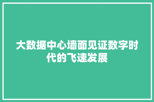 大数据中心墙面见证数字时代的飞速发展