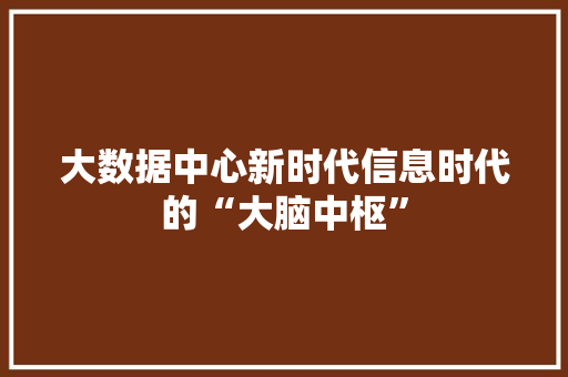大数据中心新时代信息时代的“大脑中枢”