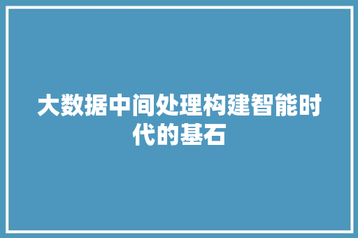 大数据中间处理构建智能时代的基石