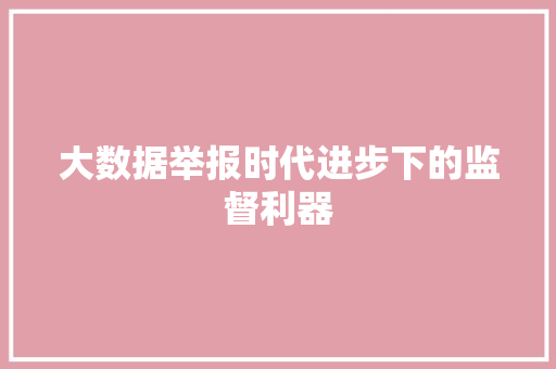 大数据举报时代进步下的监督利器