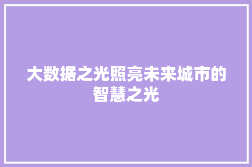 大数据之光照亮未来城市的智慧之光