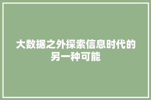 大数据之外探索信息时代的另一种可能