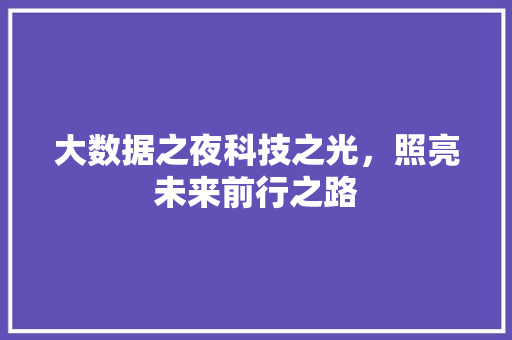大数据之夜科技之光，照亮未来前行之路