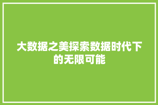 大数据之美探索数据时代下的无限可能