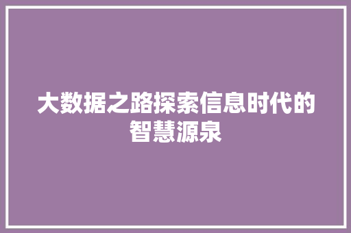 大数据之路探索信息时代的智慧源泉