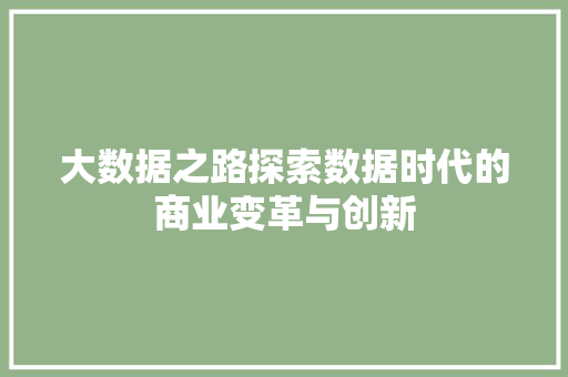 大数据之路探索数据时代的商业变革与创新