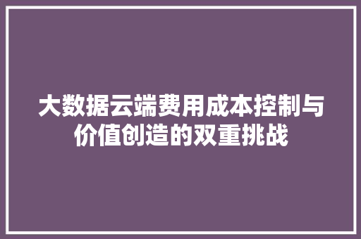 大数据云端费用成本控制与价值创造的双重挑战