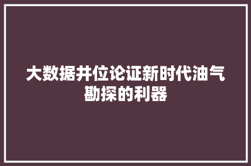 大数据井位论证新时代油气勘探的利器