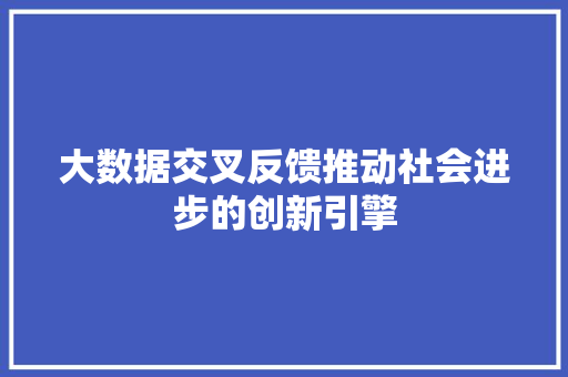 大数据交叉反馈推动社会进步的创新引擎