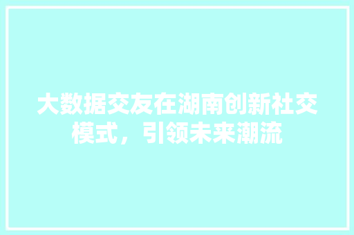 大数据交友在湖南创新社交模式，引领未来潮流