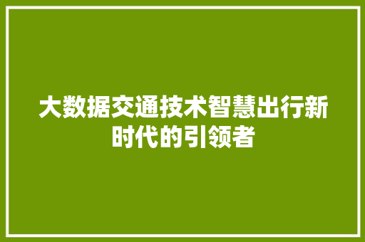 大数据交通技术智慧出行新时代的引领者