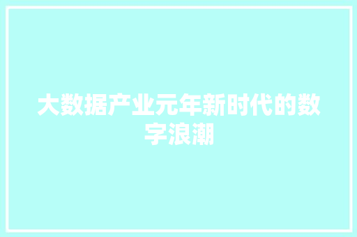 大数据产业元年新时代的数字浪潮