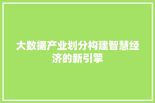 大数据产业划分构建智慧经济的新引擎