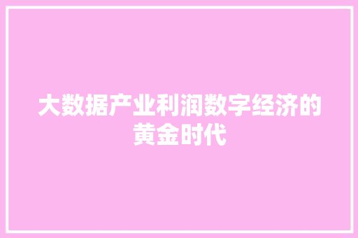 大数据产业利润数字经济的黄金时代