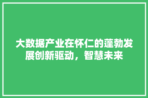 大数据产业在怀仁的蓬勃发展创新驱动，智慧未来