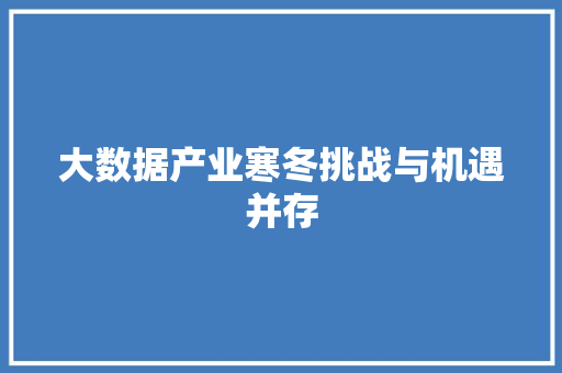 大数据产业寒冬挑战与机遇并存