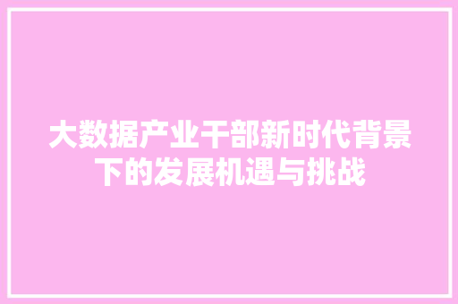 大数据产业干部新时代背景下的发展机遇与挑战
