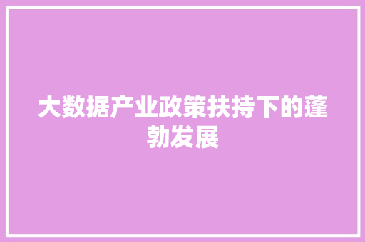 大数据产业政策扶持下的蓬勃发展