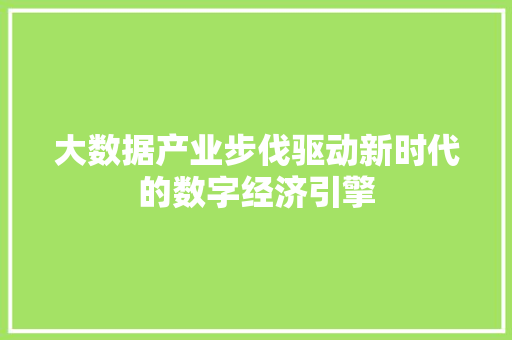 大数据产业步伐驱动新时代的数字经济引擎