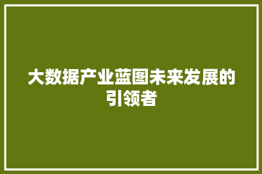 大数据产业蓝图未来发展的引领者