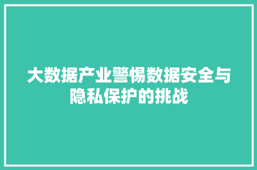 大数据产业警惕数据安全与隐私保护的挑战