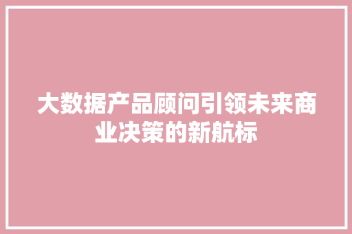 大数据产品顾问引领未来商业决策的新航标