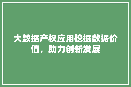 大数据产权应用挖掘数据价值，助力创新发展