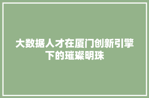 大数据人才在厦门创新引擎下的璀璨明珠