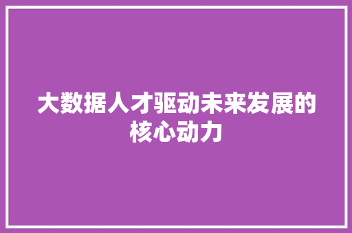 大数据人才驱动未来发展的核心动力