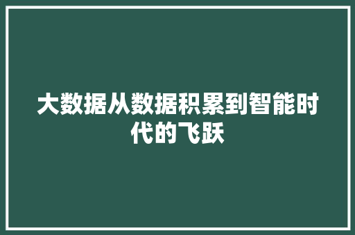 大数据从数据积累到智能时代的飞跃