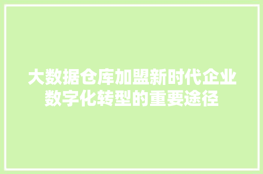 大数据仓库加盟新时代企业数字化转型的重要途径