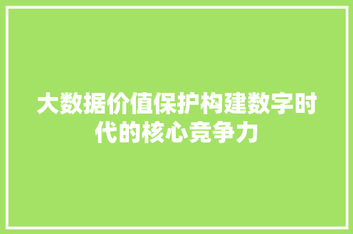 大数据价值保护构建数字时代的核心竞争力