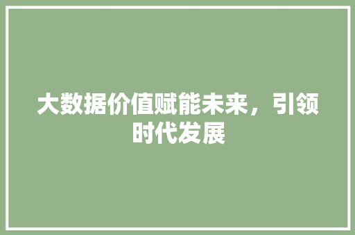 大数据价值赋能未来，引领时代发展