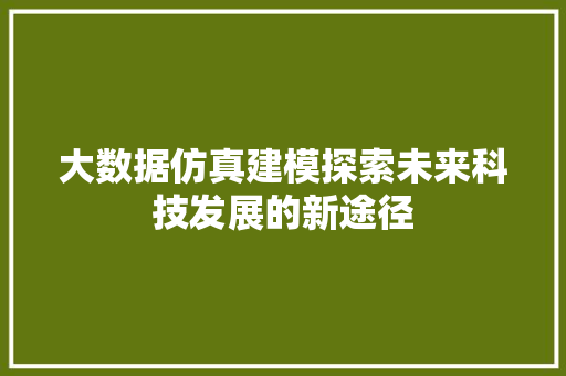 大数据仿真建模探索未来科技发展的新途径